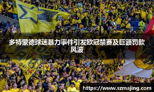 多特蒙德球迷暴力事件引发欧冠禁赛及巨额罚款风波